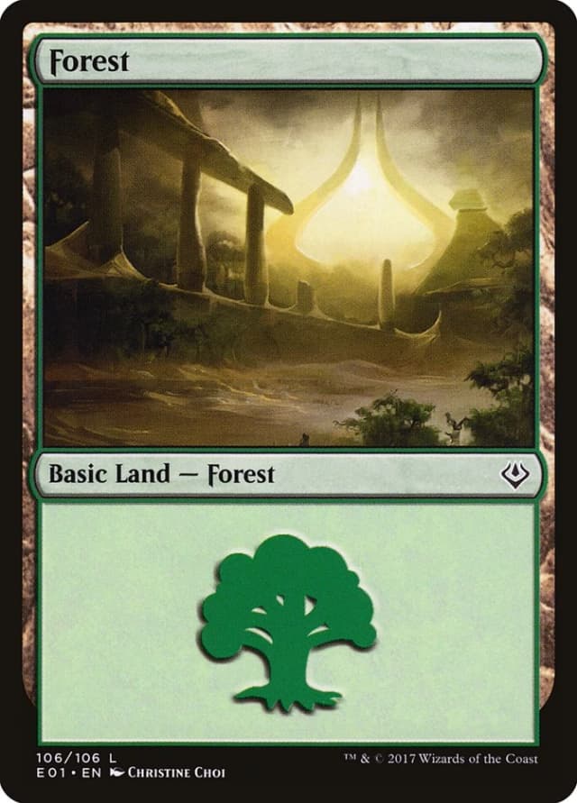 Forest image