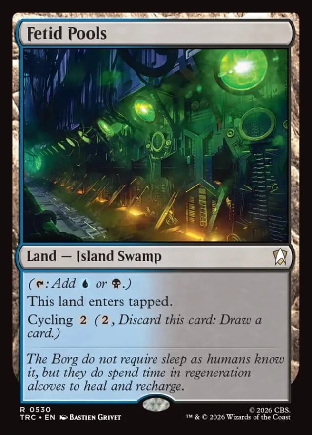 Fetid Pools image
