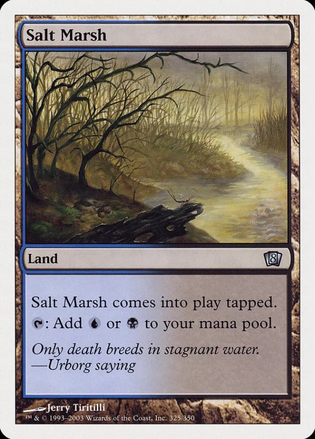 Salt Marsh image