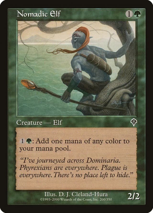 Nomadic Elf image