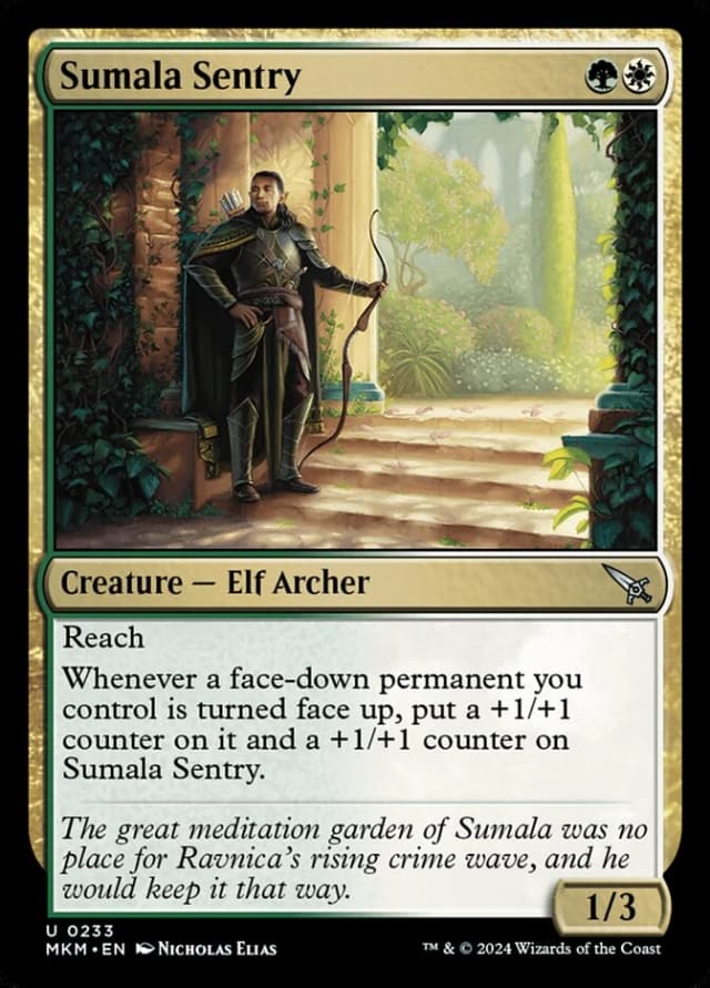 Sumala Sentry image