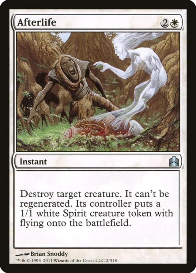 Afterlife image