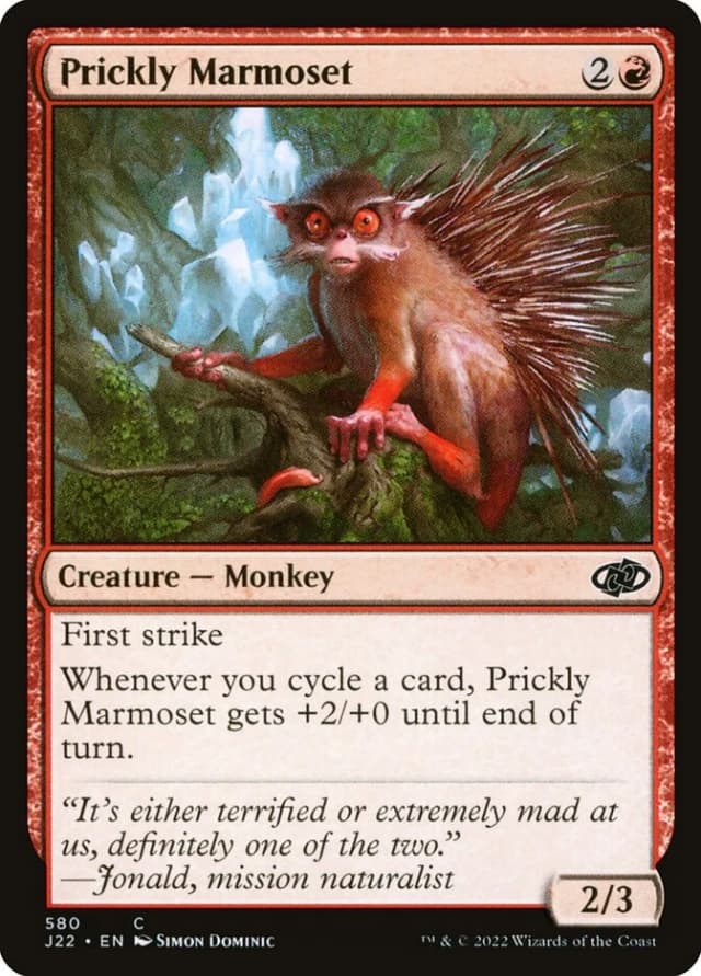 Prickly Marmoset image
