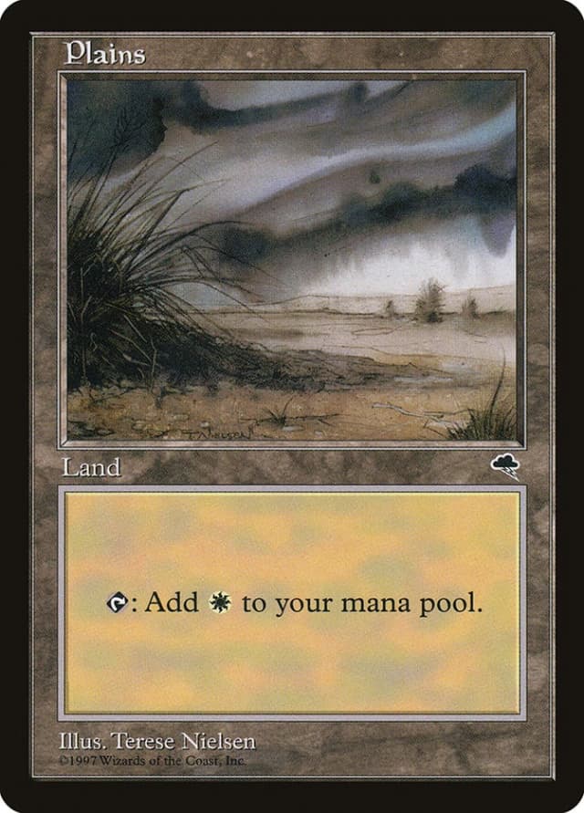 Plains image