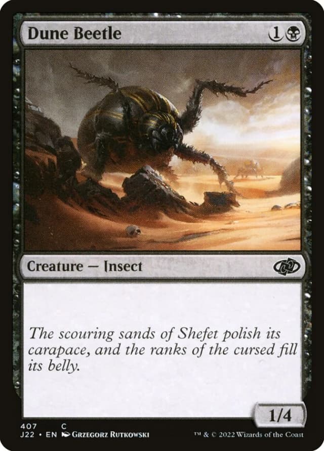 Dune Beetle image