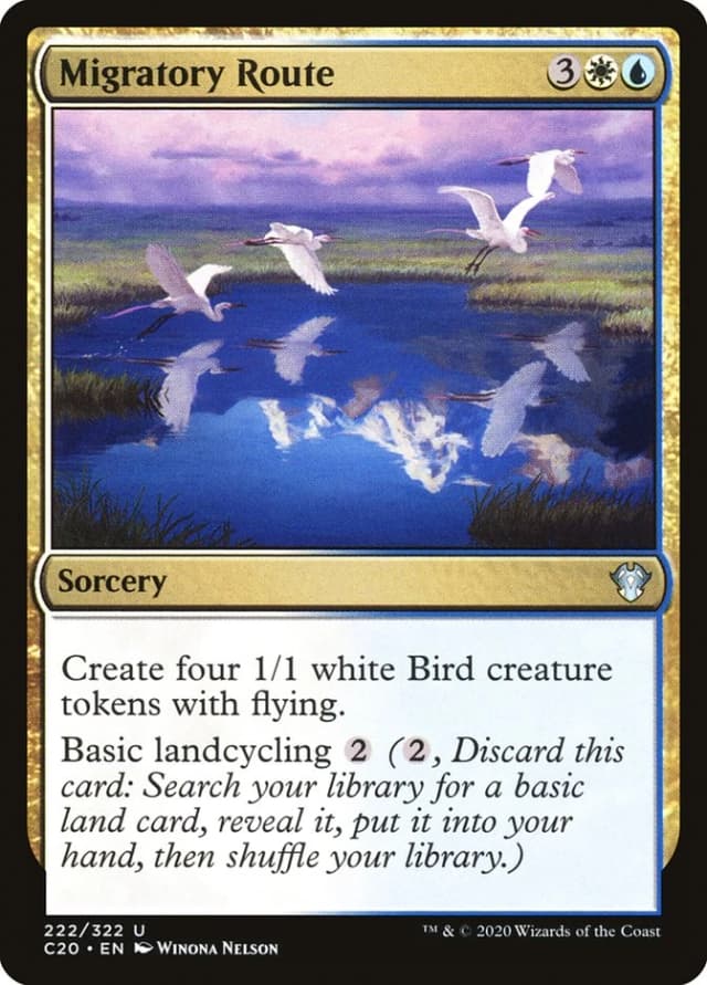 Migratory Route image