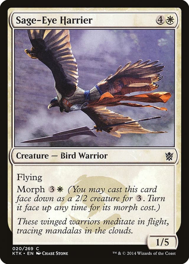 Sage-Eye Harrier image