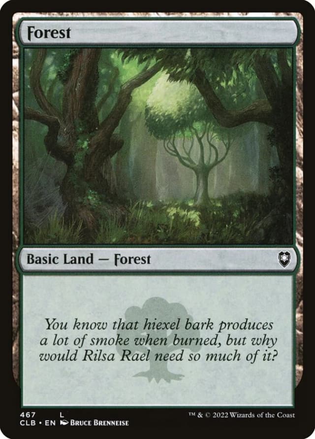 Forest image