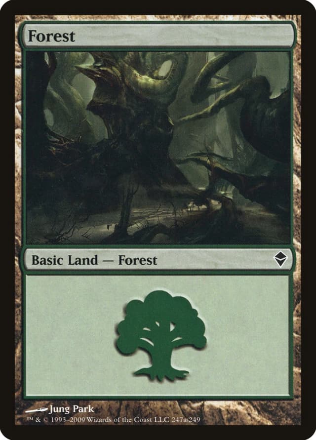 Forest image