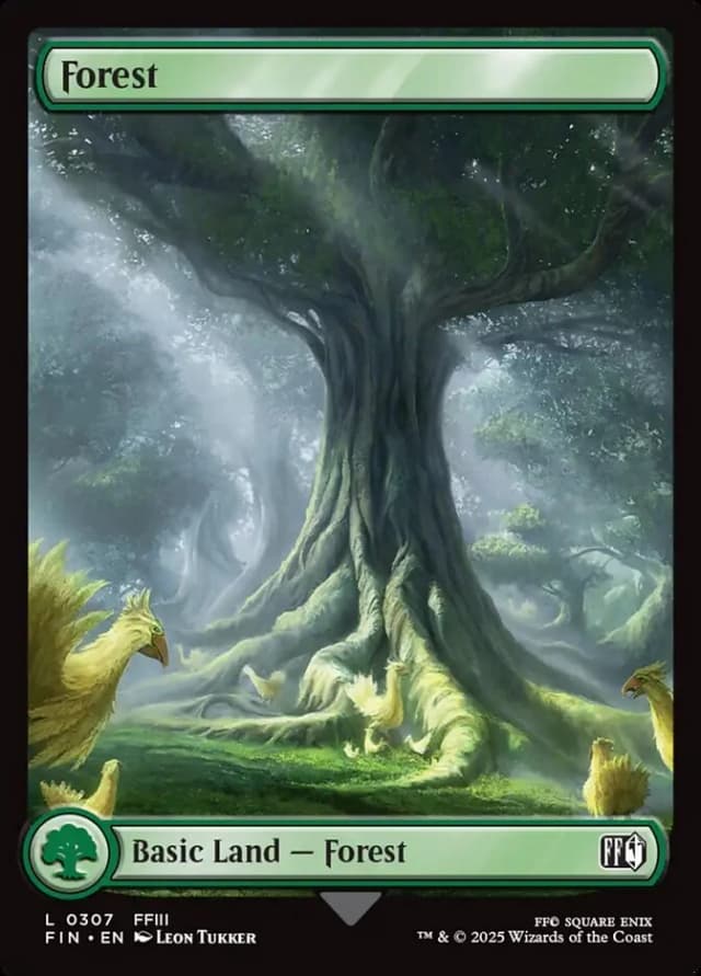 Forest image