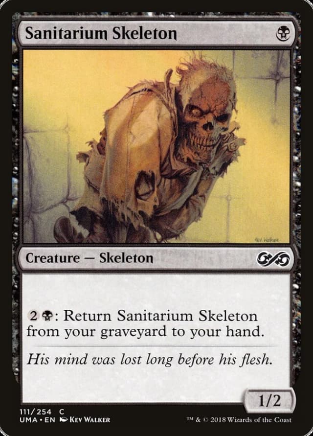 Sanitarium Skeleton image