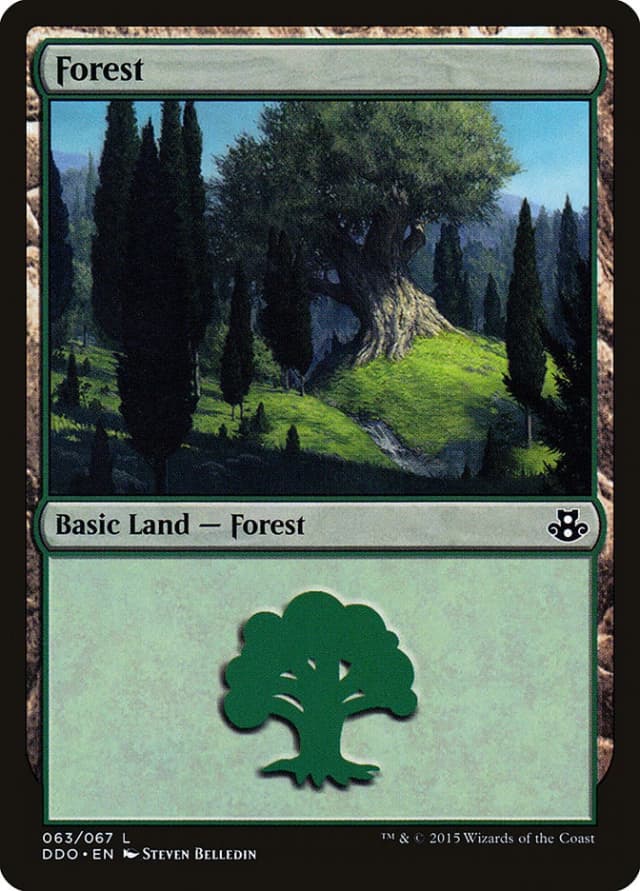 Forest image