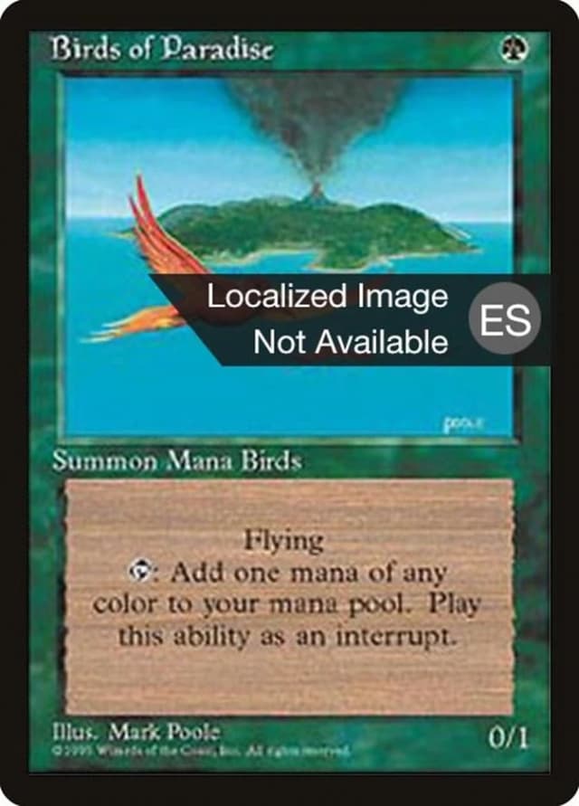 Birds of Paradise image