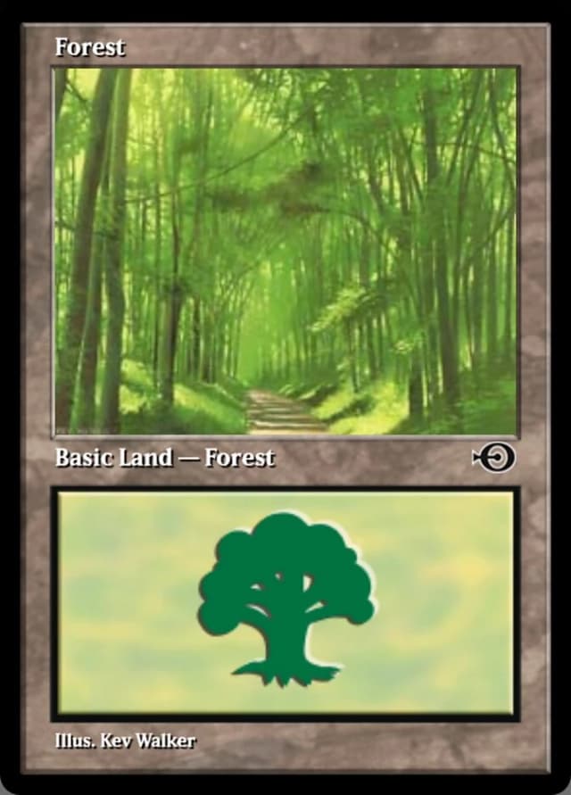 Forest image
