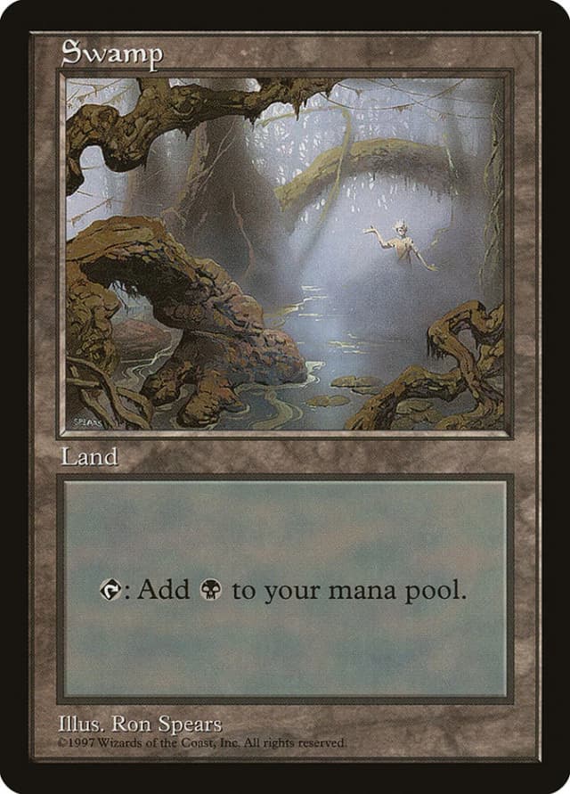 Swamp image