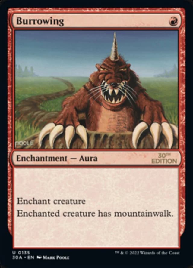Burrowing image