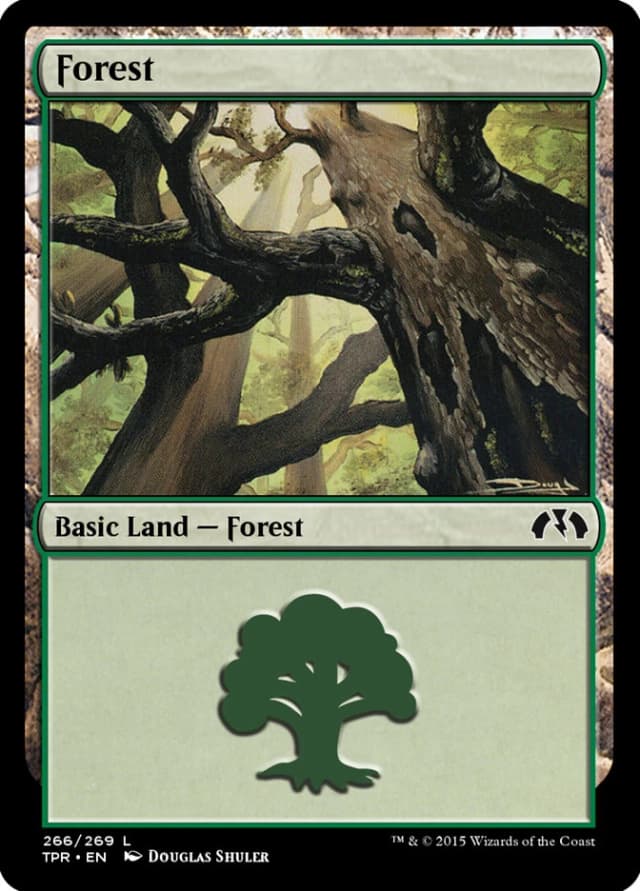 Forest image