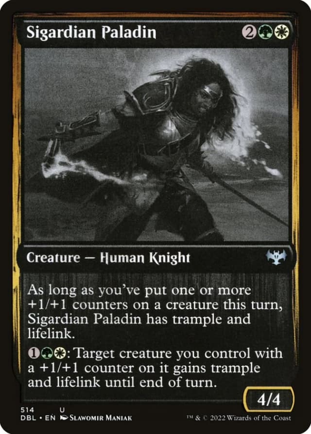Sigardian Paladin image