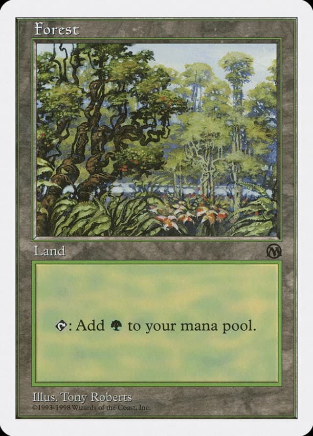 Forest image