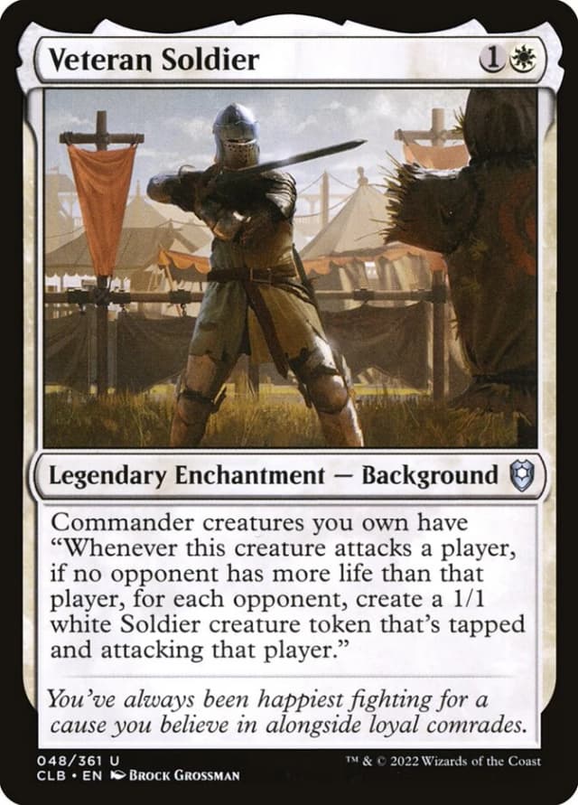 Veteran Soldier image
