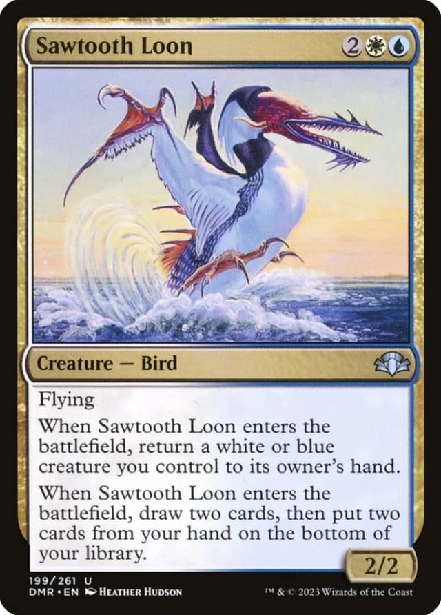 Sawtooth Loon image