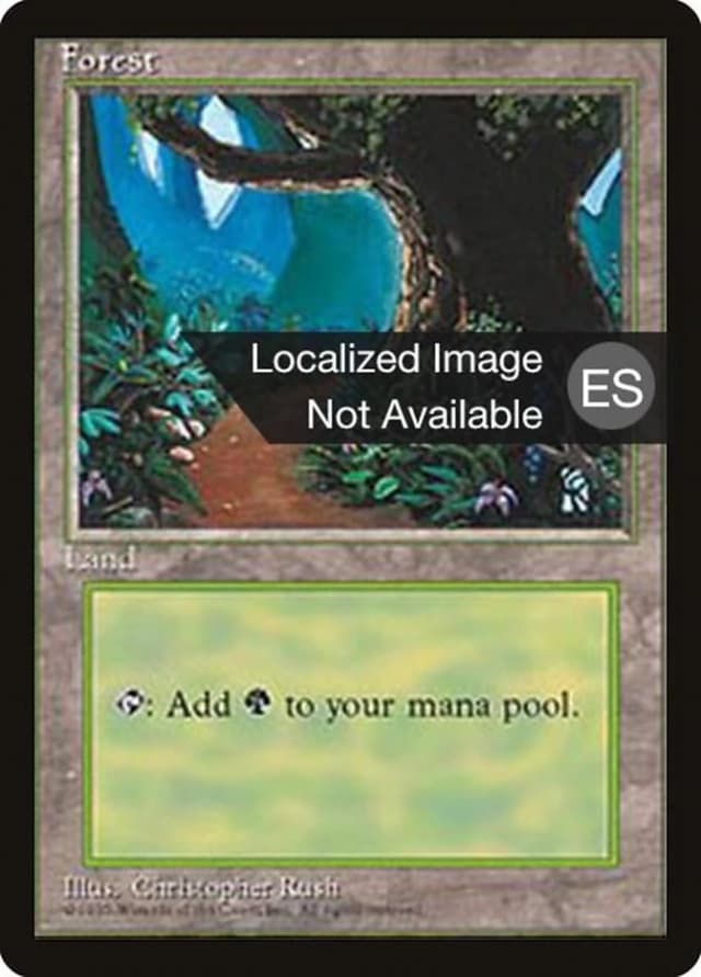 Forest image