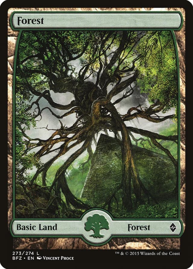 Forest image