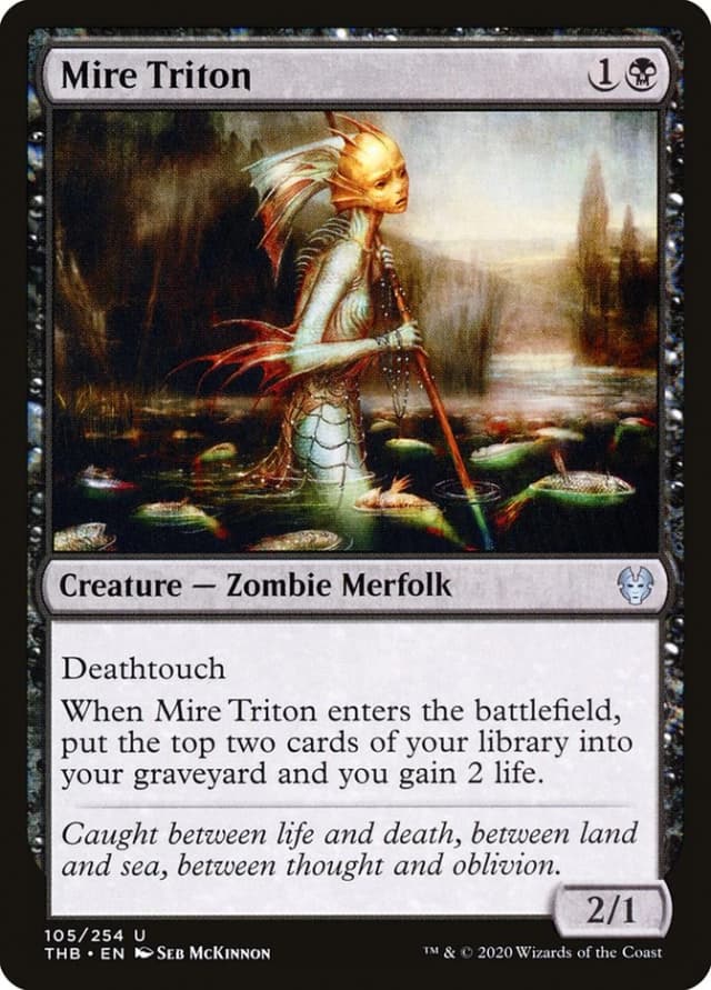 Mire Triton image