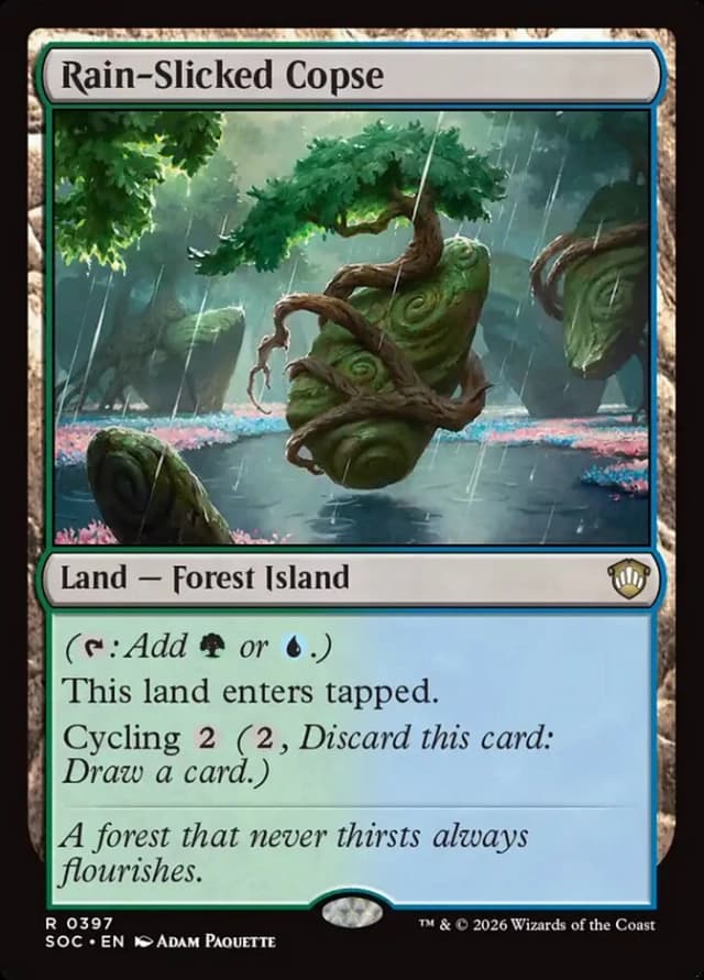 Rain-Slicked Copse image