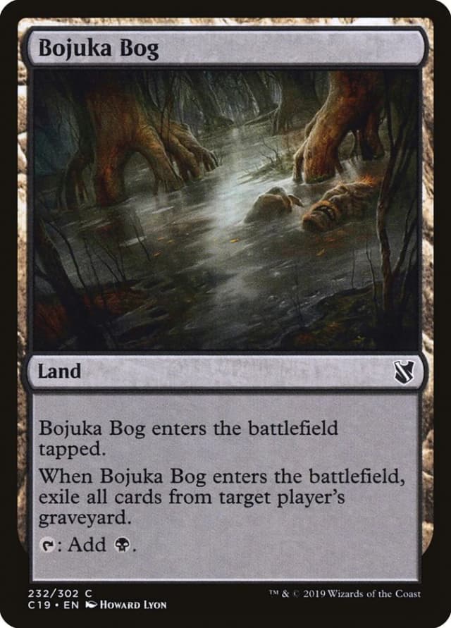 Bojuka Bog image
