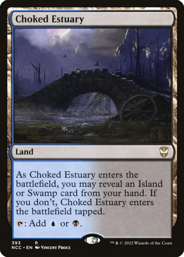 Choked Estuary image