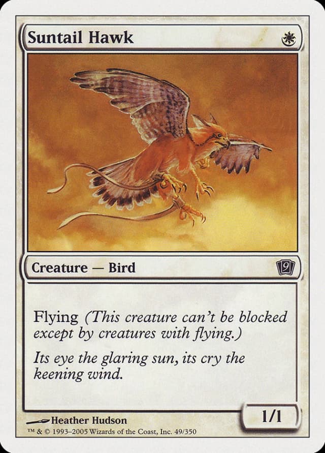 Suntail Hawk image