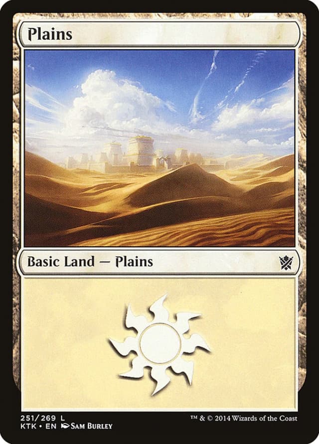 Plains image