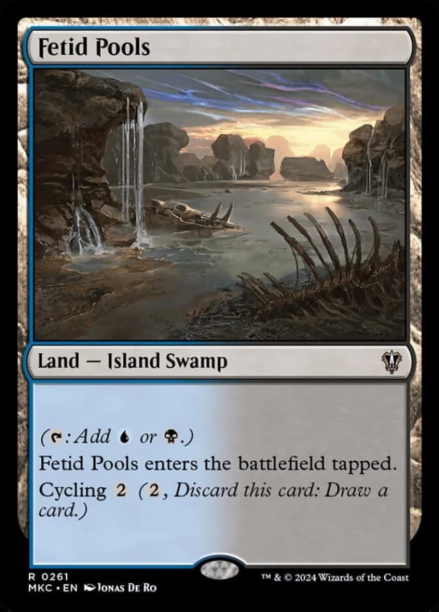 Fetid Pools image