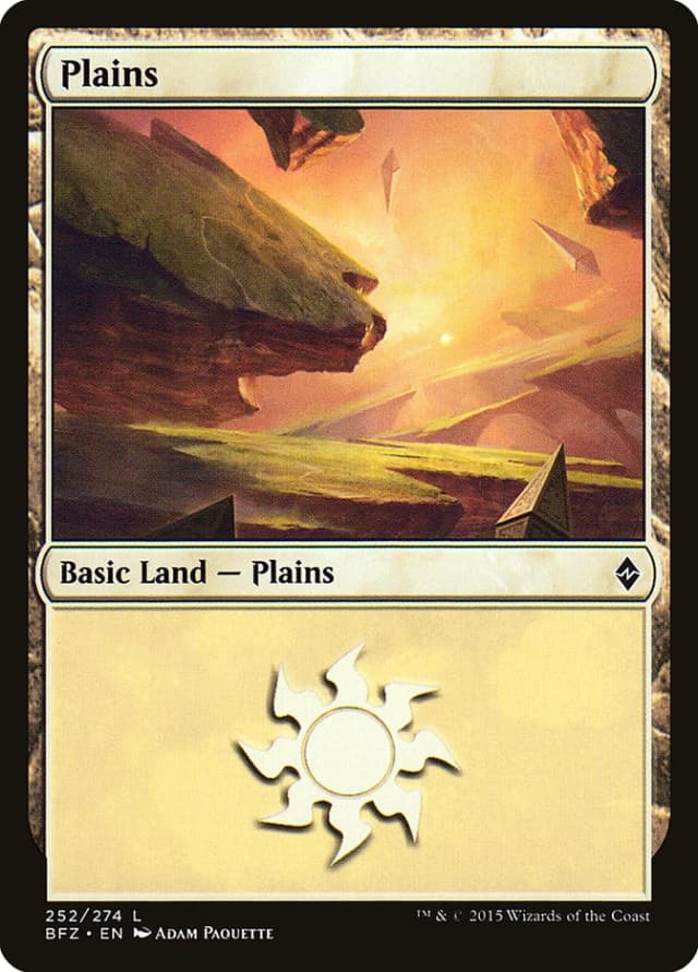 Plains image