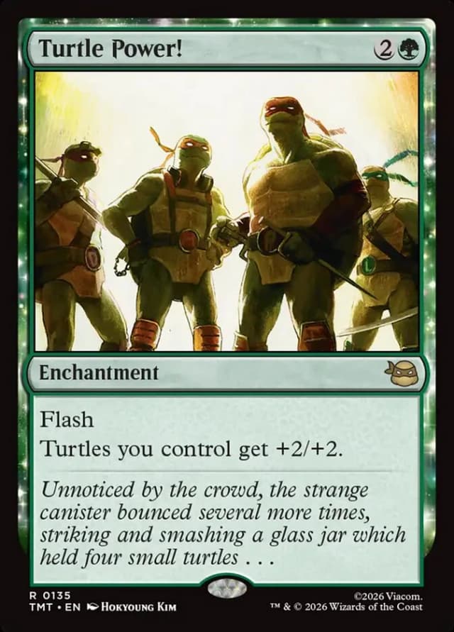 Turtle Power! image
