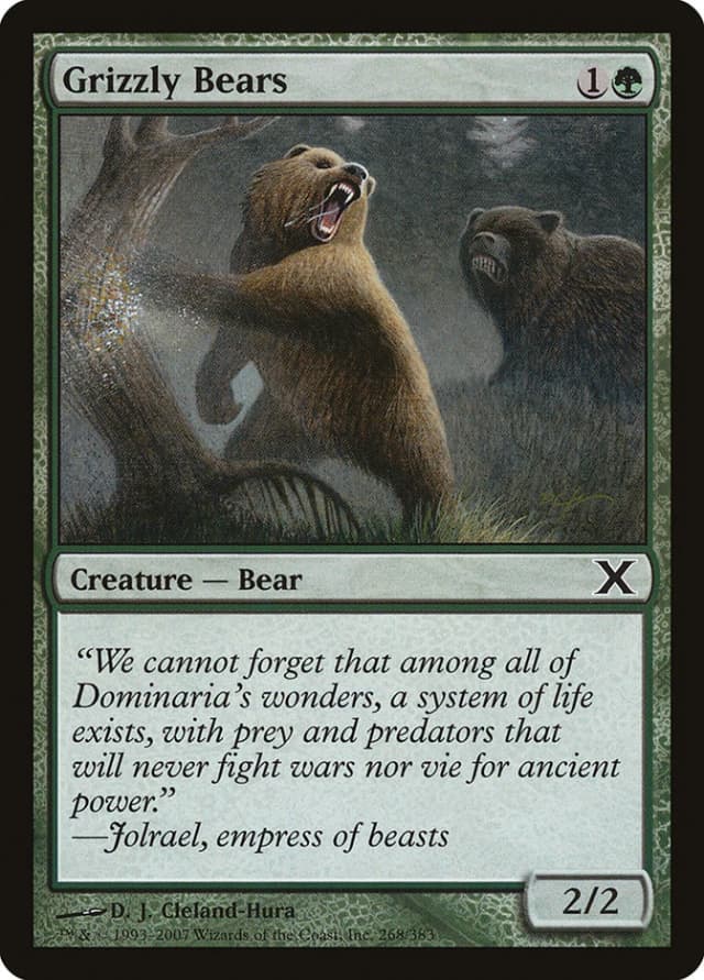 Grizzly Bears image