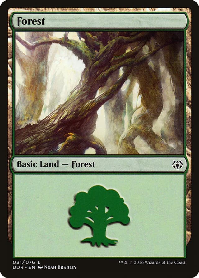 Forest image