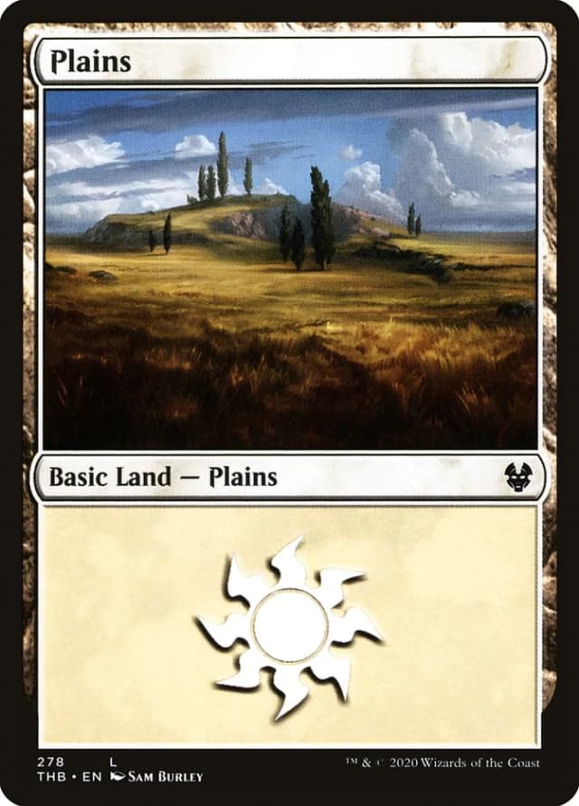 Plains image