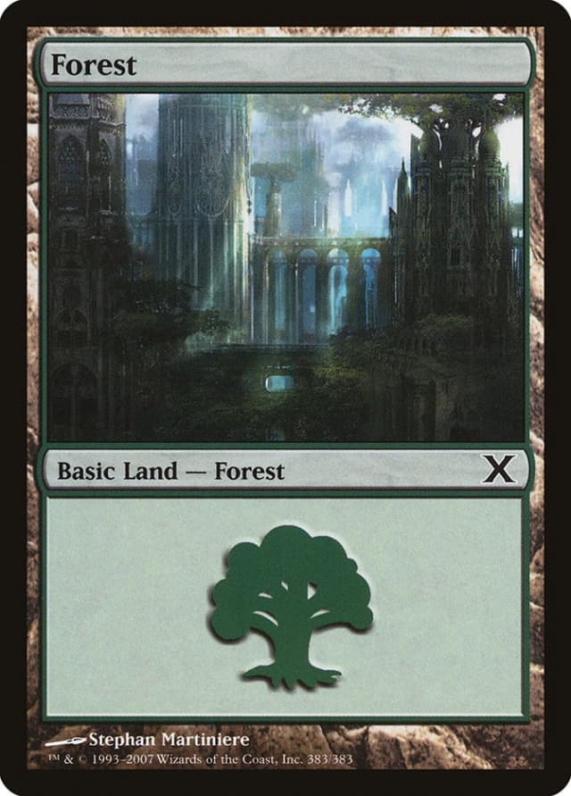 Forest image