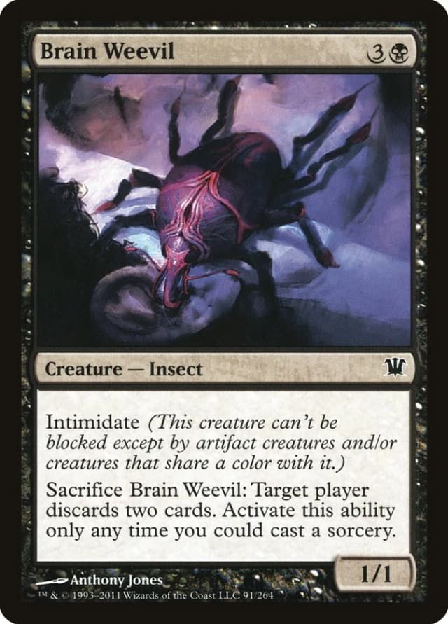 Brain Weevil image