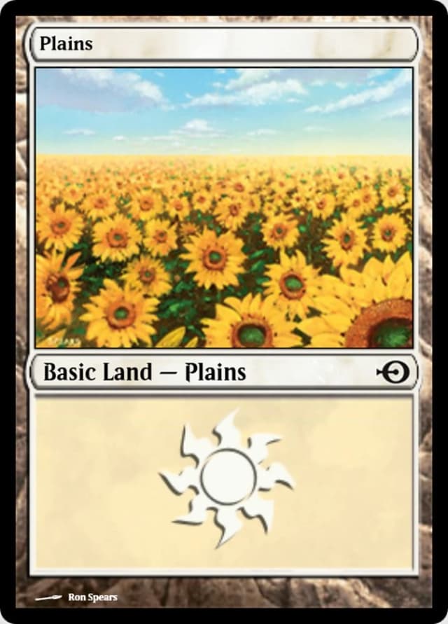 Plains image