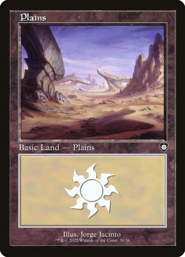 Plains image