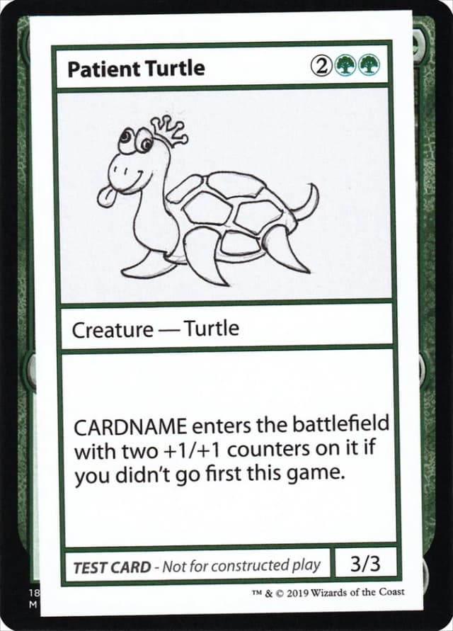 Patient Turtle image