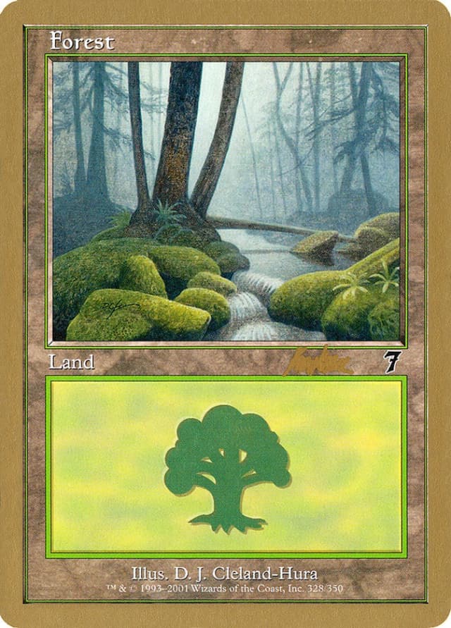 Forest image