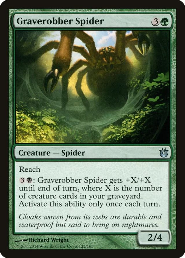 Graverobber Spider image