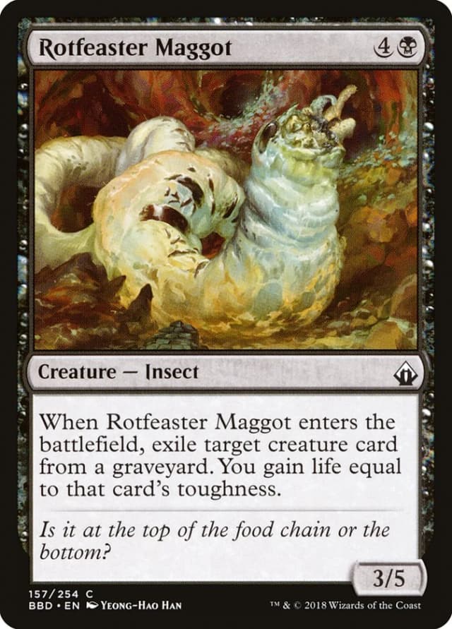 Rotfeaster Maggot image