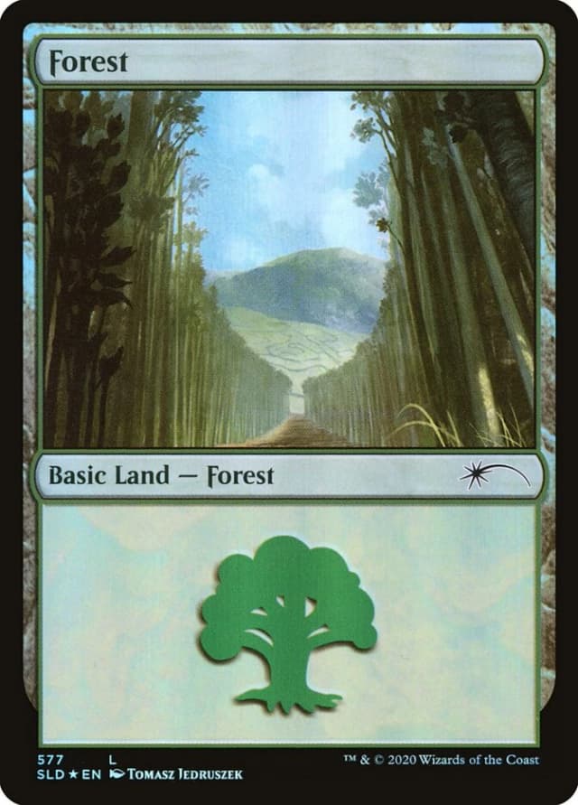 Forest image