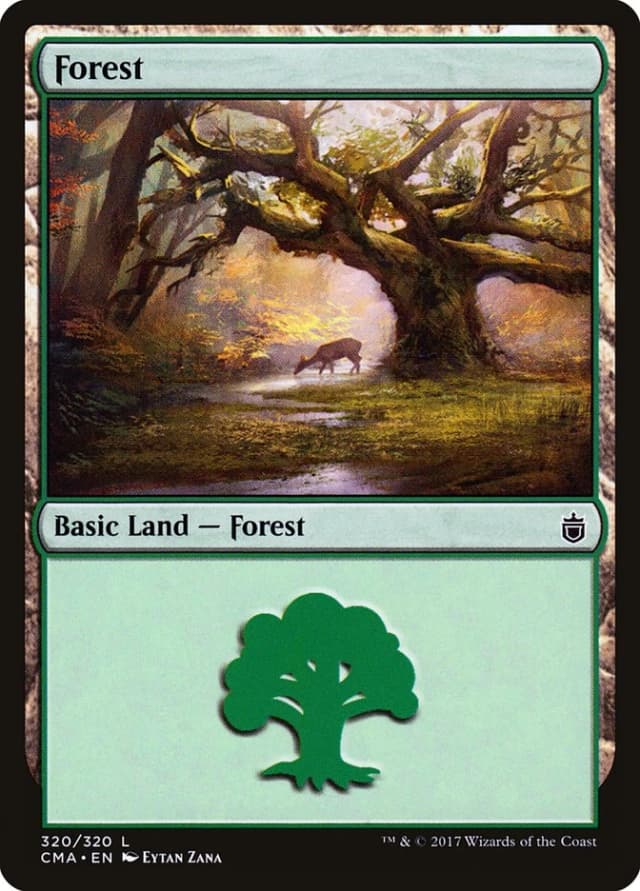 Forest image