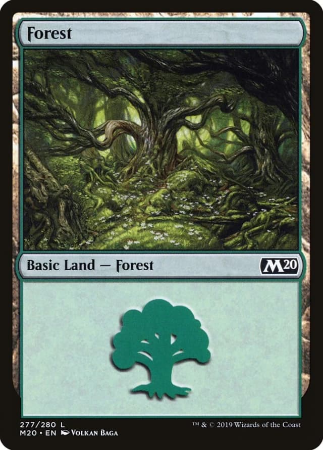 Forest image